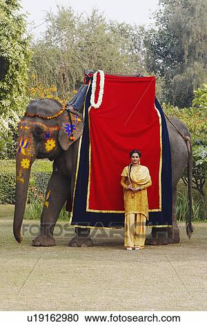 Young woman standing beside an elephant View Large Photo Image Stock Image - Young woman standing beside an elephant. Fotosearch