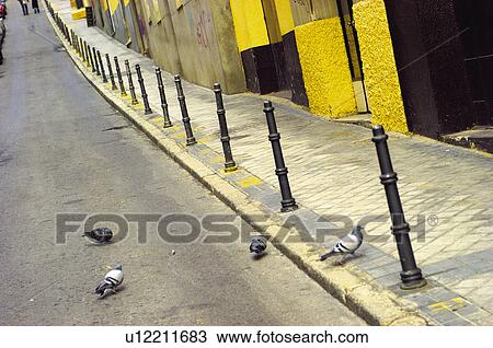 Street, Bollard, Bollards, Sidewalk, Pavement, Paving, Paved View Large Photo Image Stock Image - Street, Bollard, Bollards, Sidewalk, Pavement, Paving, Paved. Fotosearch