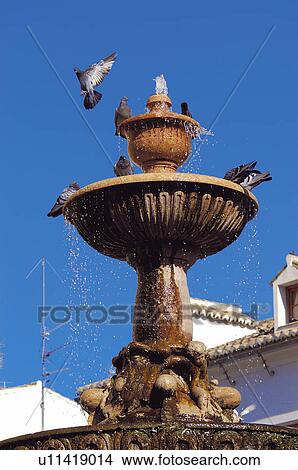 Urban, Urban details, Fountain, Water, Bird, Birds, Pigeon View Large Photo Image Picture - Urban, Urban details, Fountain, Water, Bird, Birds, Pigeon. Fotosearch