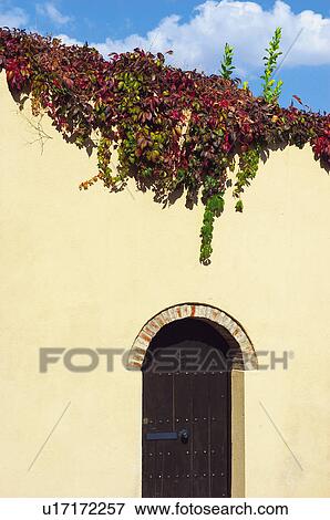 Wall, Door, Arch, Entrance, Ivy, Vegetation, Flowers View Large Photo Image Stock Photo - Wall, Door, Arch, Entrance, Ivy, Vegetation, Flowers. Fotosearch