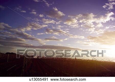 Sky, Cloud, Clouds, Cloudy, Cloudy Sky, Cloudscape, Scenics View Large Photo Image Stock Image - Sky, Cloud, Clouds, Cloudy, Cloudy Sky, Cloudscape, Scenics. Fotosearch