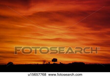 Stock Photo - Sky, Cloud, Clouds, Cloudy, Cloudy Sky, Cloudscape, Scenics. Fotosearch