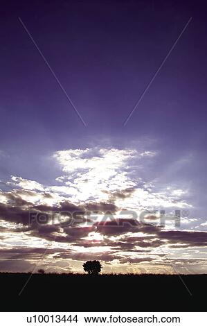 Picture - Sky, Cloud, Clouds, Cloudy, Cloudy Sky, Cloudscape, Scenics. Fotosearch