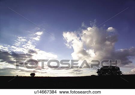 Picture - Sky, Cloud, Clouds, Cloudy, Cloudy Sky, Cloudscape, Scenics. Fotosearch
