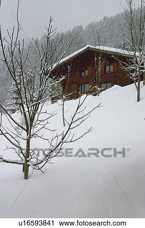 Landscape of snow, Landscape, Landscapes of snow, Winter, Snow, House, Alps View Large Photo Image Stock Image - Landscape of snow, Landscape, Landscapes of snow, Winter, Snow, House, Alps. Fotosearch