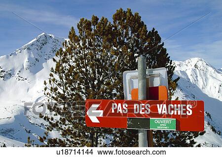 Snow, Snowy, Winter, Snow details, Mountain, Mountains, Tree View Large Photo Image Picture - Snow, Snowy, Winter, Snow details, Mountain, Mountains, Tree. Fotosearch