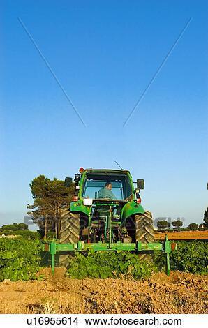 Agricultural, Plantation, Transportation, Transport, Land, Machinery, Agriculture View Large Photo Image Picture - Agricultural, Plantation, Transportation, Transport, Land, Machinery, Agriculture. Fotosearch