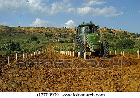 Agricultural, Plantation, Transportation, Transport, Land, Machinery, Agriculture View Large Photo Image Stock Photo - Agricultural, Plantation, Transportation, Transport, Land, Machinery, Agriculture. Fotosearch