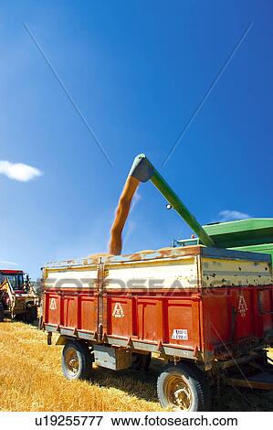 Stock Photo - Gather, Harvest, Farm machinery, Machinery, Agricultural, Gathering, Agriculture. Fotosearch