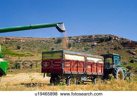 Stock Photo - Gather, Harvest, Farm machinery, Machinery, Agricultural, Gathering, Agriculture. Fotosearch