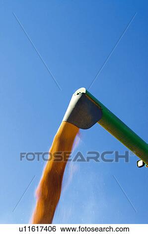 Stock Photograph - Gather, Harvest, Farm machinery, Machinery, Agricultural, Gathering, Agriculture. Fotosearch