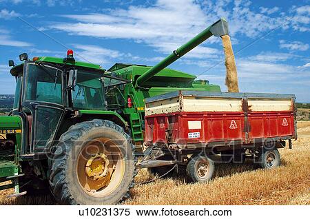 Gather, Harvest, Farm machinery, Machinery, Agricultural, Gathering, Agriculture View Large Photo Image Stock Photography - Gather, Harvest, Farm machinery, Machinery, Agricultural, Gathering, Agriculture. Fotosearch