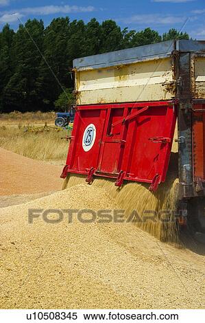 Stock Photography - Gather, Harvest, Farm machinery, Machinery, Agricultural, Gathering, Agriculture. Fotosearch