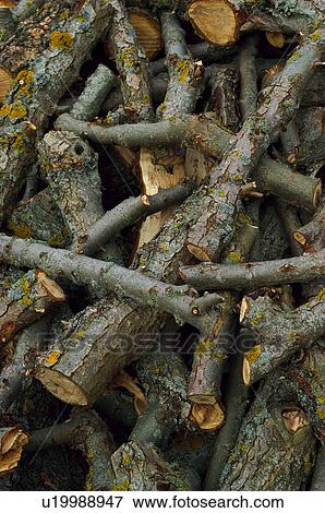 Stock Photo - Log, Logs, Firewood, Pile, Heap, Background. Fotosearch