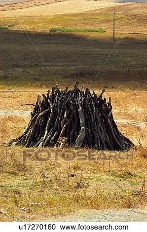 Pile, Harvest, Firewood, Logs, Log, Heap, Agriculture View Large Photo Image Stock Image - Pile, Harvest, Firewood, Logs, Log, Heap, Agriculture. Fotosearch
