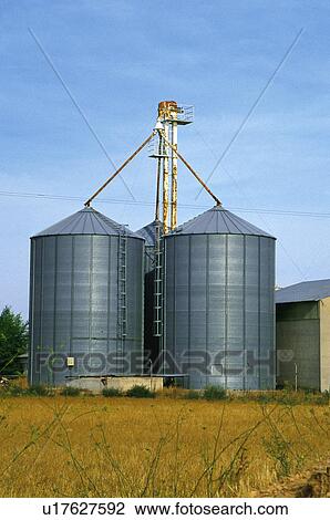 Stock Image - Tanks, Harvest, Tank, Silo, Wheat, Store, Agriculture. Fotosearch