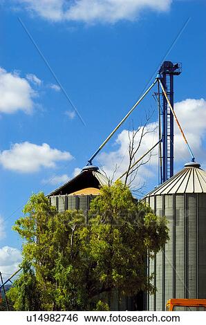Tanks, Harvest, Tank, Silo, Wheat, Store, Agriculture View Large Photo Image Stock Photograph - Tanks, Harvest, Tank, Silo, Wheat, Store, Agriculture. Fotosearch