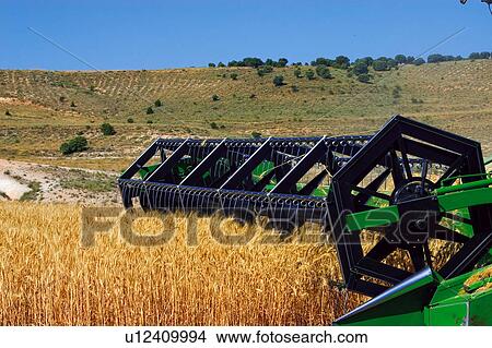 Transportation, Harvest, Transport, Land, Plantation, Agricultural, Agriculture View Large Photo Image Picture - Transportation, Harvest, Transport, Land, Plantation, Agricultural, Agriculture. Fotosearch