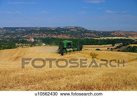 Transportation, Harvest, Transport, Land, Plantation, Agricultural, Agriculture View Large Photo Image Stock Image - Transportation, Harvest, Transport, Land, Plantation, Agricultural, Agriculture. Fotosearch