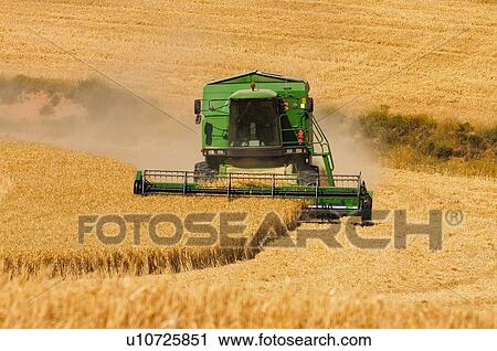 Transportation, Harvest, Transport, Land, Plantation, Agricultural, Agriculture View Large Photo Image Stock Image - Transportation, Harvest, Transport, Land, Plantation, Agricultural, Agriculture. Fotosearch