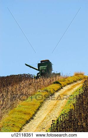 Stock Image - Transportation, Harvest, Transport, Land, Plantation, Agricultural, Agriculture. Fotosearch
