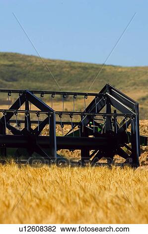 Transportation, Harvest, Transport, Land, Plantation, Agricultural, Agriculture View Large Photo Image Stock Image - Transportation, Harvest, Transport, Land, Plantation, Agricultural, Agriculture. Fotosearch