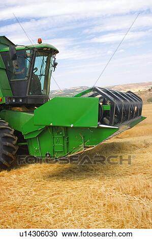 Transportation, Harvest, Transport, Land, Plantation, Agricultural, Agriculture View Large Photo Image Stock Image - Transportation, Harvest, Transport, Land, Plantation, Agricultural, Agriculture. Fotosearch