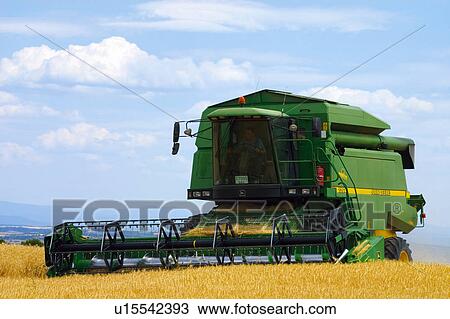 Stock Image - Transportation, Harvest, Transport, Land, Plantation, Agricultural, Agriculture. Fotosearch