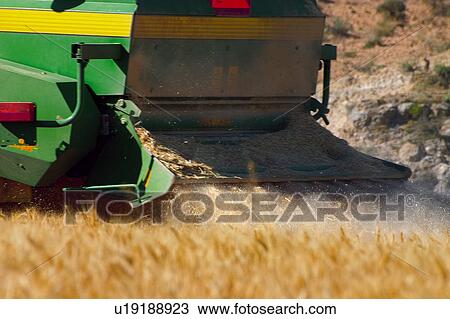 Transportation, Harvest, Transport, Land, Plantation, Agricultural, Agriculture View Large Photo Image Stock Image - Transportation, Harvest, Transport, Land, Plantation, Agricultural, Agriculture. Fotosearch