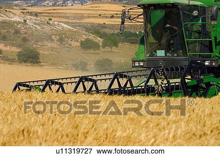 Transportation, Harvest, Transport, Land, Plantation, Agricultural, Agriculture View Large Photo Image Stock Photo - Transportation, Harvest, Transport, Land, Plantation, Agricultural, Agriculture. Fotosearch