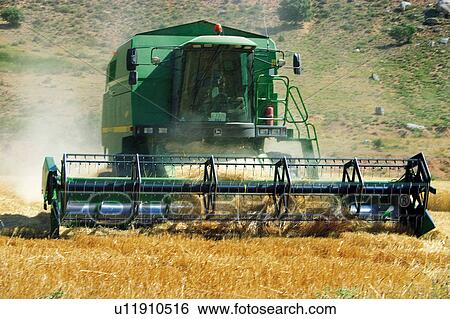 Transportation, Harvest, Transport, Land, Plantation, Agricultural, Agriculture View Large Photo Image Stock Photograph - Transportation, Harvest, Transport, Land, Plantation, Agricultural, Agriculture. Fotosearch