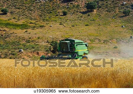 Stock Photography - Transportation, Harvest, Transport, Land, Plantation, Agricultural, Agriculture. Fotosearch