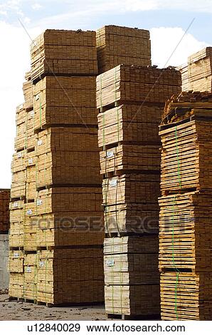 Stock Photo - Industry, Timber, Lumber, Timber industry, Lumber industry, Wood, Pile. Fotosearch