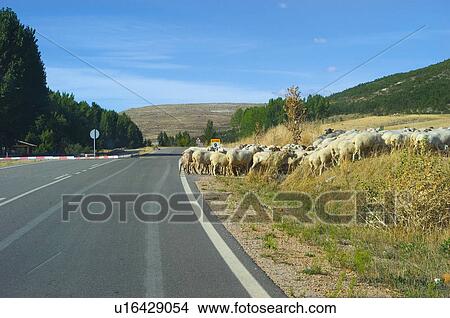Road, Roads, Spanish, Spanish road, Spanish roads, Nature, Landscape View Large Photo Image Picture - Road, Roads, Spanish, Spanish road, Spanish roads, Nature, Landscape. Fotosearch
