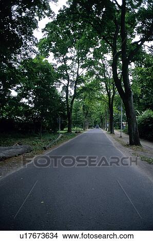 Road, Roads, Spanish, Spanish road, Spanish roads, Tree, Trees View Large Photo Image Picture - Road, Roads, Spanish, Spanish road, Spanish roads, Tree, Trees. Fotosearch