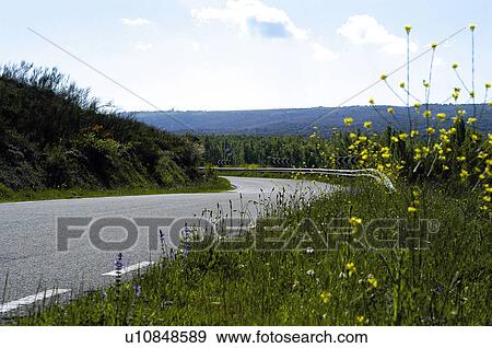 Road, Roads, Spanish, Spanish road, Spanish roads, Empty, Nature View Large Photo Image Stock Photo - Road, Roads, Spanish, Spanish road, Spanish roads, Empty, Nature. Fotosearch