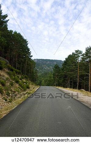 Road, Roads, Spanish, Spanish road, Spanish roads, Straight, Landscape View Large Photo Image Stock Photo - Road, Roads, Spanish, Spanish road, Spanish roads, Straight, Landscape. Fotosearch