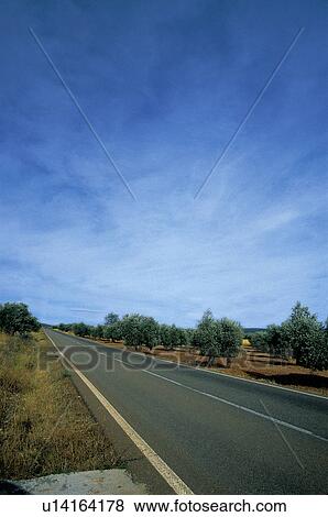 Stock Photo - Road, Roads, Spanish, Spanish road, Spanish roads, Empty, Nature. Fotosearch