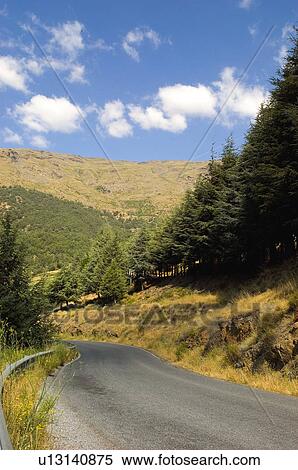 Road, Roads, Spanish, Spanish road, Spanish roads, Perspective, Empty View Large Photo Image Stock Photography - Road, Roads, Spanish, Spanish road, Spanish roads, Perspective, Empty. Fotosearch