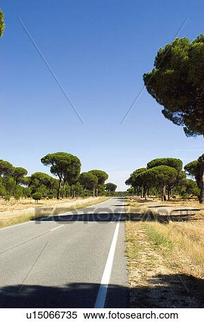 Road, Roads, Spanish, Spanish road, Spanish roads, Straight, Landscape View Large Photo Image Stock Photography - Road, Roads, Spanish, Spanish road, Spanish roads, Straight, Landscape. Fotosearch