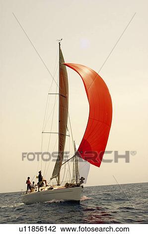 Stock Image -  Sport, Sports, Sea, Sea sport, Sail, Sailing. Fotosearch