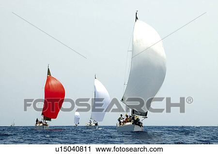 Sport, Sports, Sea, Sea sport, Horizon, Sail View Large Photo Image Stock Image - Sport, Sports, Sea, Sea sport, Horizon, Sail. Fotosearch