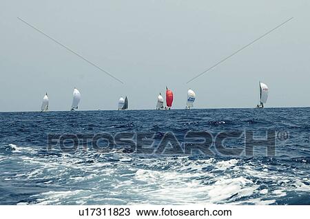Sport, Sports, Sea, Sea sport, Horizon, Sail View Large Photo Image Stock Image - Sport, Sports, Sea, Sea sport, Horizon, Sail. Fotosearch