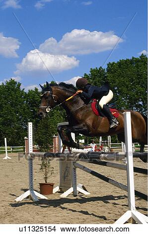 Sport, Sports, Sportsman, Sport clothes, Helmet View Large Photo Image Picture - Sport, Sports, Sportsman, Sport clothes, Helmet. Fotosearch