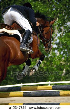 Sport, Sports, Sportsman, Sport clothes, Helmet View Large Photo Image Stock Image - Sport, Sports, Sportsman, Sport clothes, Helmet. Fotosearch
