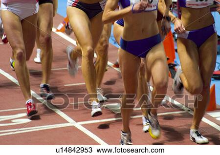 Sport, Sports, Sportswoman, Woman, Sportswomen, Women View Large Photo Image Stock Image - Sport, Sports, Sportswoman, Woman, Sportswomen, Women. Fotosearch