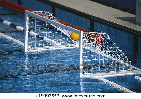 Sport, Sports, Swimmingpool, Swimming pool, Water, Waterpolo View Large Photo Image Stock Image - Sport, Sports, Swimmingpool, Swimming pool, Water, Waterpolo. Fotosearch