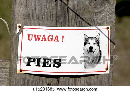 Stock Photography - Beware of a vicious dog in Polish. Fotosearch