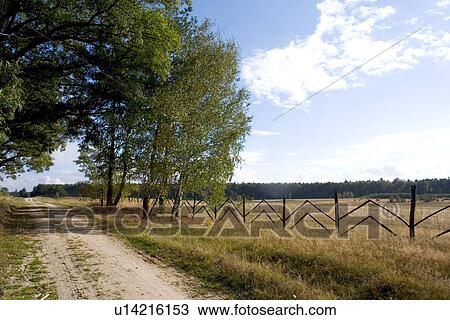 Dirt road along fence dividing farmers fields with the national forest View Large Photo Image Stock Image - Dirt road along fence dividing farmers fields with the national forest. Fotosearch