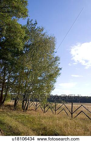 Picture - Fence dividing farmers fields with the national forest in the background in Poland. Fotosearch